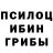 Псилоцибиновые грибы Cubensis Lena Pich