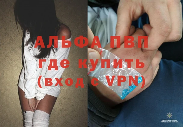 mdpv Галич