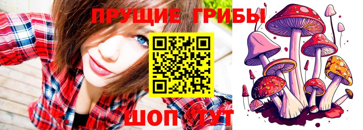 Рассказово  Галлюциногенные грибы мухоморы  Вход с VPN 
